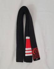 Load image into Gallery viewer, FLAWLESS ADULTS  PROFESSOR STRIPE - BLACK BELTS
